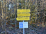...schlagen wir den Forstweg zum Zinnkopf ein