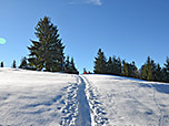 ...und wir gelangen zur Gipfelkuppe des Zinnkopfs