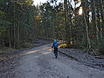 Der breite Forstweg...