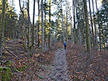 Dort schlagen wir den Zinnkopf-Steig ein