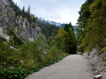 Ein breiter Forstweg bringt uns tiefer in das Reintal