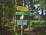 Hier biegen wir rechts ab Richtung Moaralm