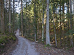 ...gelangen wir zu einem Waldstück