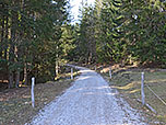 Wir erreichen ein Waldstück...