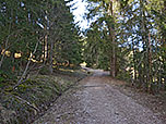 ...und gewinnen im Wald die nächsten Höhenmeter