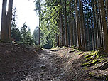 ...halten wir uns links...