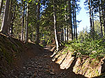...wandern wir über einen Hohlweg aufwärts