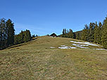 Über einen Wiesenrücken steuern wir auf die Gassenhofer Alm zu