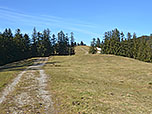Weiter gehts aut dem Wiesenrücken nach Nordwesten