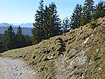...und verlassen den breiten Weg