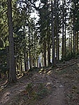 Durch den schattigen Bergwald...