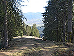...wandern wir hinunter zu einer Lichtung