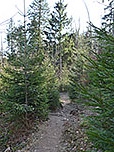 ...zu einem Waldstück hinunter