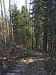 Zügig wandern wir dem Talboden entgegen