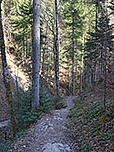 Der zum Ende hin steinige Weg...