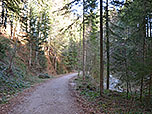 Wir bleiben noch für einige Minuten am Bach