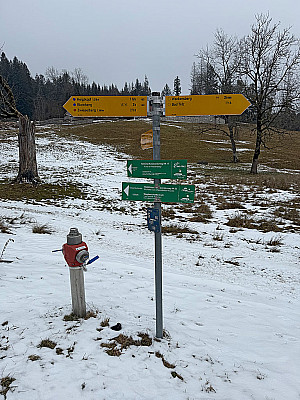 Los gehts an der Waldherralm