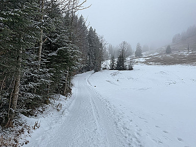 ...zum Wiesengelände der Baumalm
