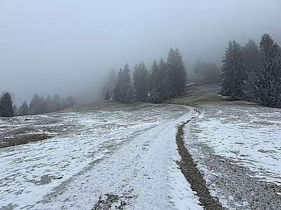 ...geht es hinauf...