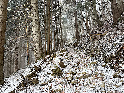 Ein steiniges Weglein...