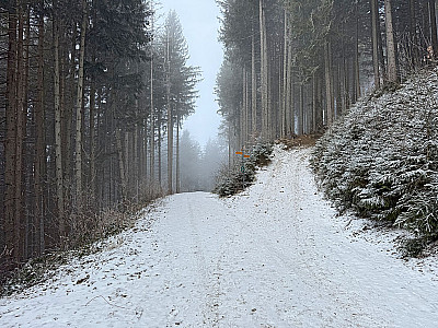 ...bringt uns zu einem Forstweg, ...