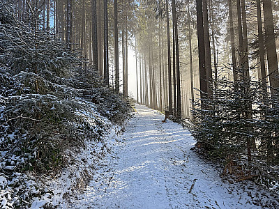 Schließlich lehnt sich sich das Gelände zurück...