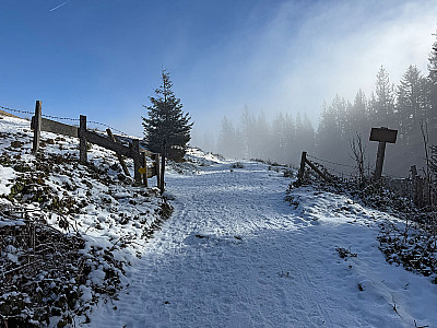 ...und wir lassen den Bergwald hinter uns