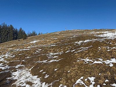 ...und wandern dem großen Holzkreuz am Heigelkopf entgegen