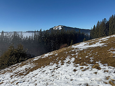 Blick zum Zwieselberg...