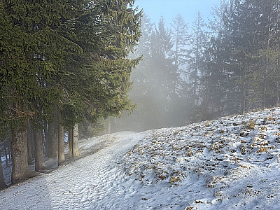 ...und wandern in eine Senke hinab