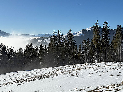 Blick zum Zwieselberg