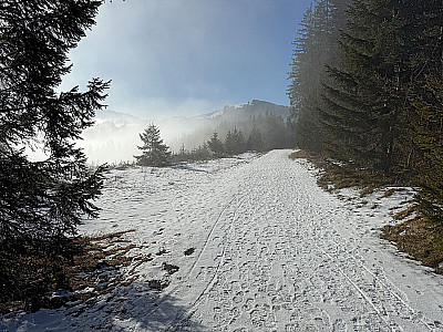 Nach einem Waldstück...