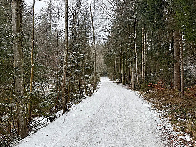 Nun folgen wir dem Steinbach...