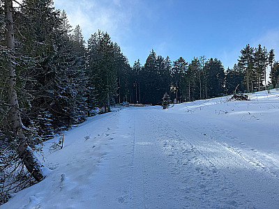 ...erreichen wir einen Abzweig...