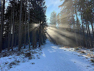 Nach einem ersten Anstieg...