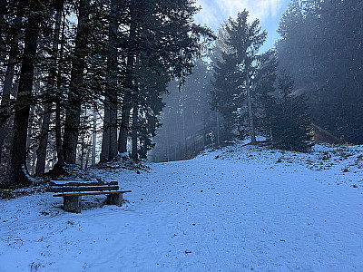 ...kommen wir zu einem nächsten Abzweig...