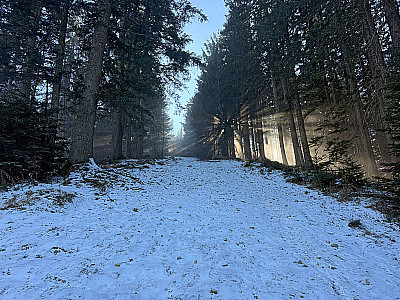 ...und orientieren uns nach rechts