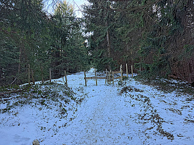 Nach einem Weidezaun...