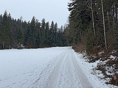 ...zu einer Lichtung