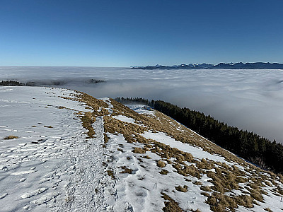 ...und hinunter zur Schnaiter Alm