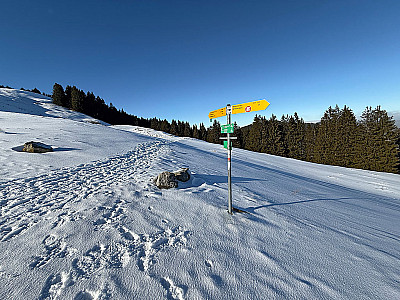 An der Alm halten wir unsere Grundrichtung bei...