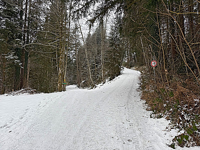 Am Ende der Lichtung...