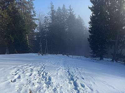 Wir erreichen den Bergwald...