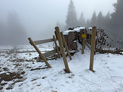 ...zu einem Durchlass am Weidezaun