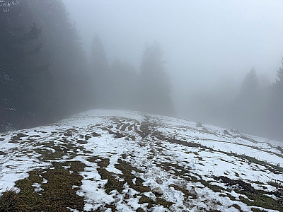 Wir bleiben weiterhin am Rücken...