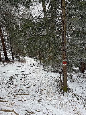 ...und touchieren kurz ein Waldstück