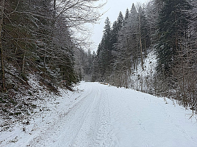 ....und biegen links ab Richtung Waldherralm