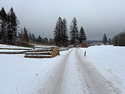 ...gehen wir zurück zur Waldherralm
