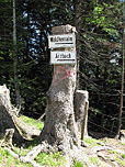 Wegweiser beim Zaun
