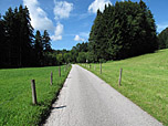 Wir spazieren über einen Fahrweg...